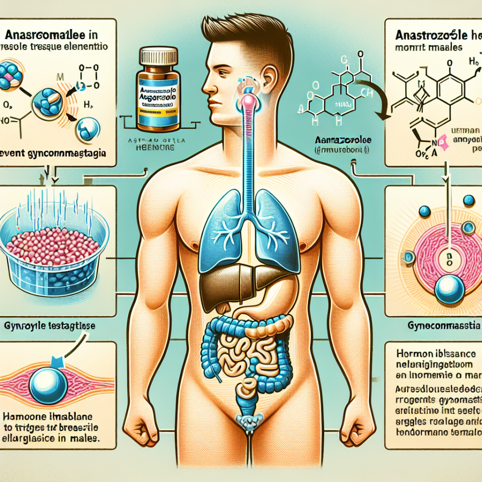Wie Anastrozol hilft, Gynäkomastie vorzubeugen